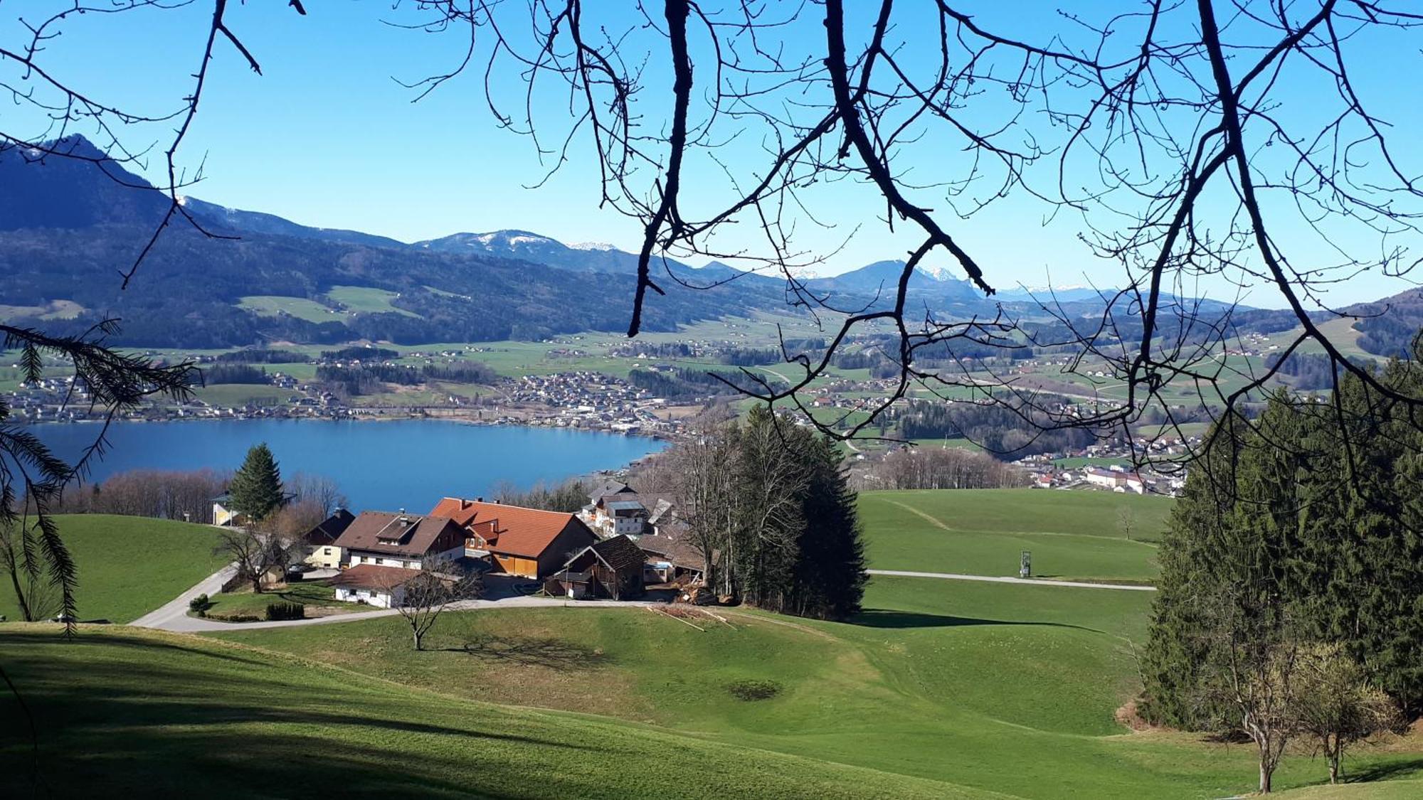 Bio Gesundheitshof Daxinger Villa Mondsee Exterior photo