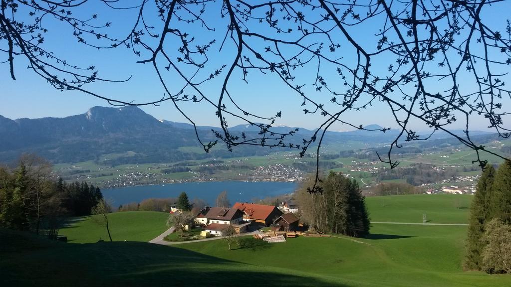 Bio Gesundheitshof Daxinger Villa Mondsee Exterior photo